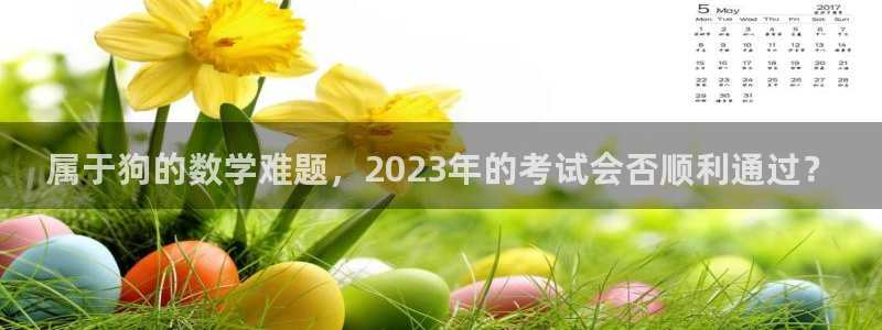 卧龙娱乐app下载