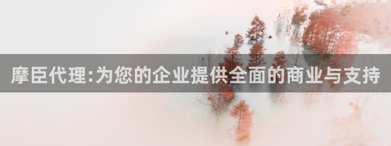 壹号大舞台网站