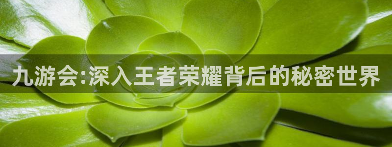 卧龙娱乐官方app下载安装