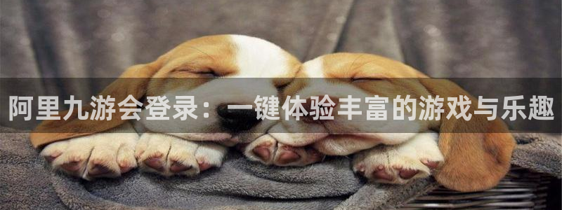 卧龙娱乐能退款吗