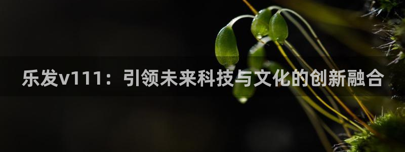 卧龙娱乐官网