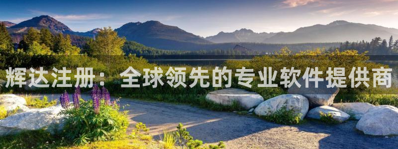 壹号大舞台娱乐app下载安装：辉达注册：全球领先的专业软件提供商
