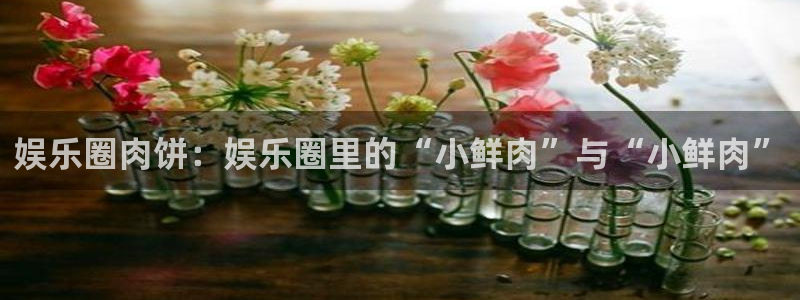 卧龙娱乐下载：娱乐圈肉饼：娱乐圈里的“小鲜肉”与“小鲜肉”