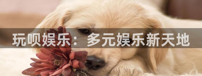 壹号app官网