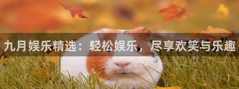壹号大舞台网站