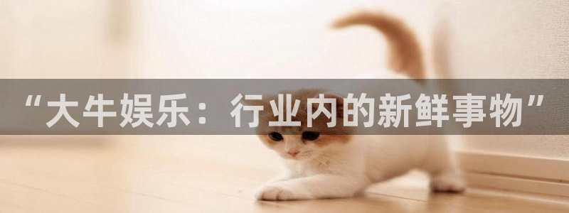 卧龙娱乐
