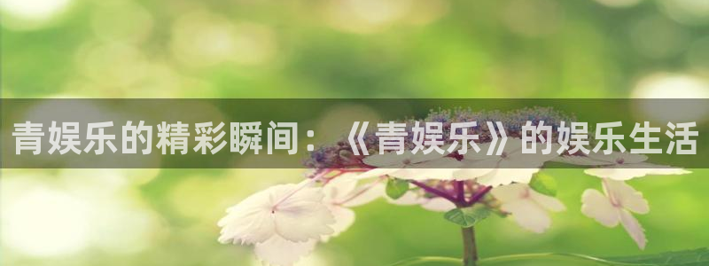 卧龙娱乐网址