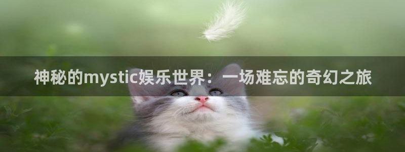 卧龙娱乐(com.youad.authst)