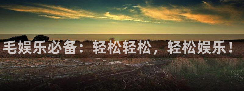 壹号电子娱乐app下载最新版本安装