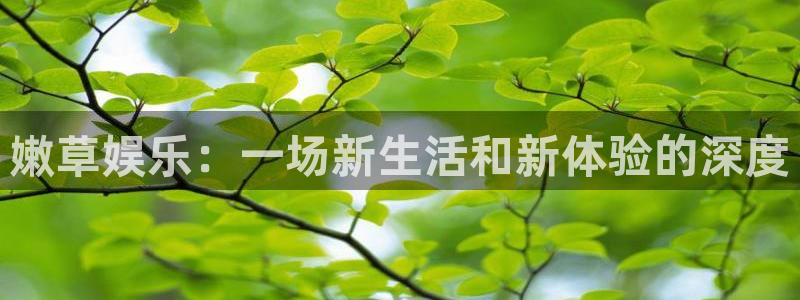 卧龙娱乐