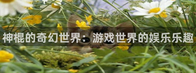 壹号大舞台28国际大舞台：神棍的奇幻世界：游戏世界的娱乐乐趣
