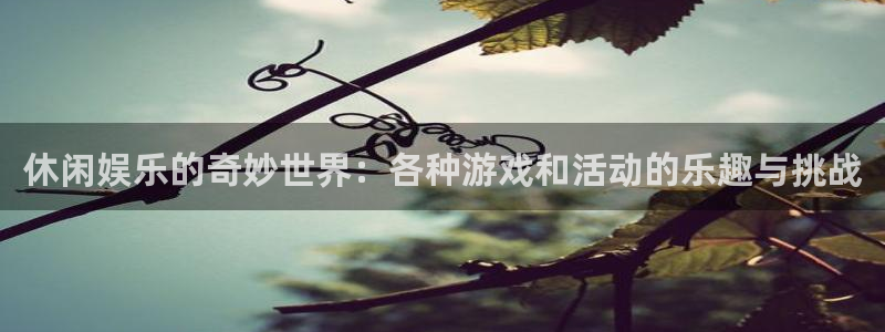 卧龙娱乐app：休闲娱乐的奇妙世界：各种游戏和活动的乐趣与挑战