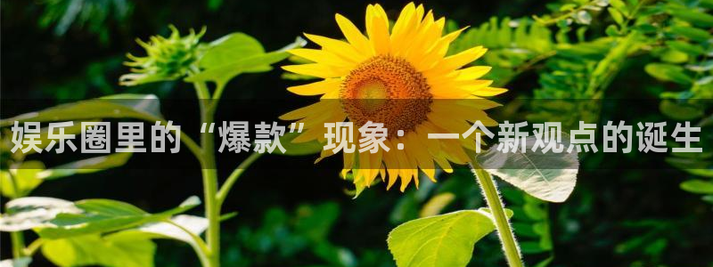 卧龙娱乐网址