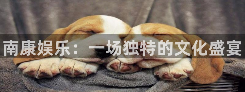 壹号玩家app下载