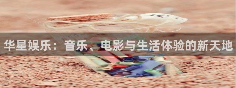 卧龙娱乐强制退款流程详解