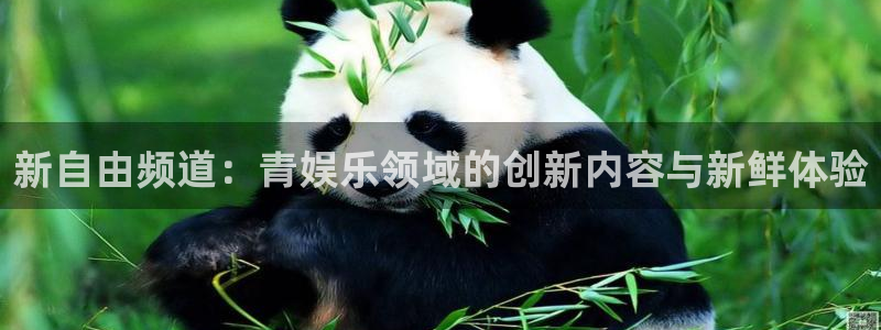 卧龙娱乐app官网下载