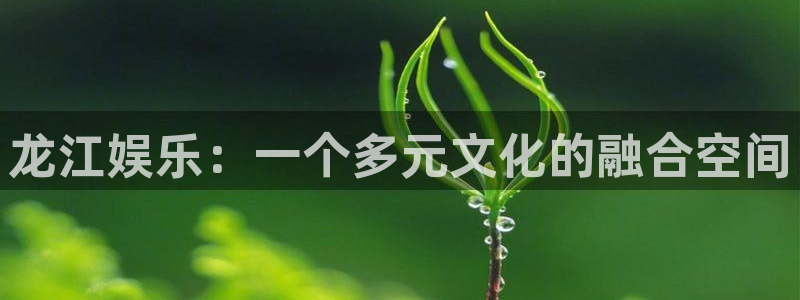 卧龙娱乐下载