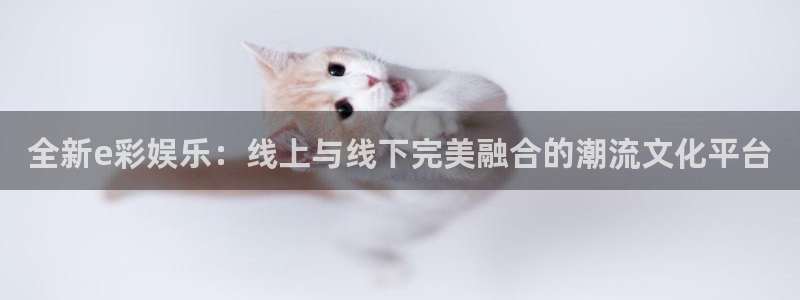卧龙娱乐平台app下载安装