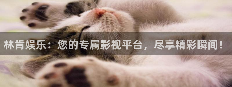 壹号app官网