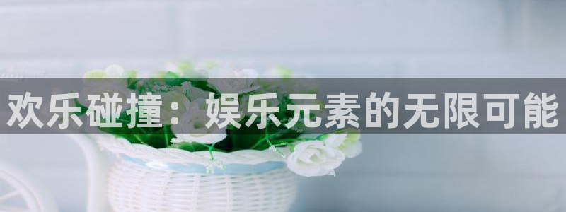 卧龙娱乐.com