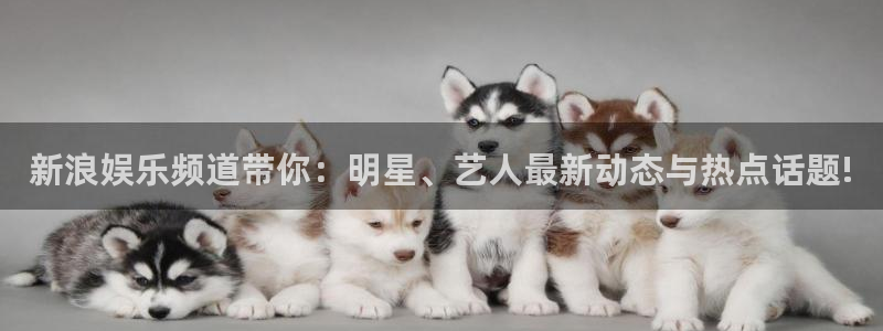 壹号玩家app下载