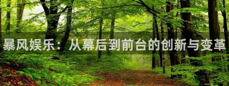 壹号大舞台网站