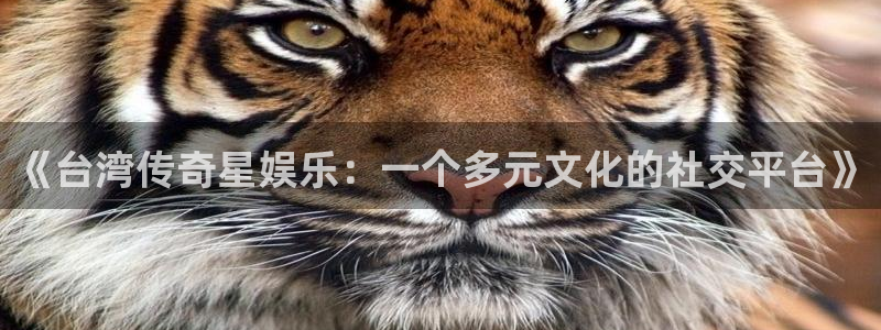卧龙娱乐app网页入口