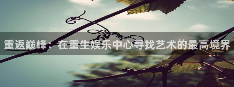 卧龙娱乐app下载安装最新版