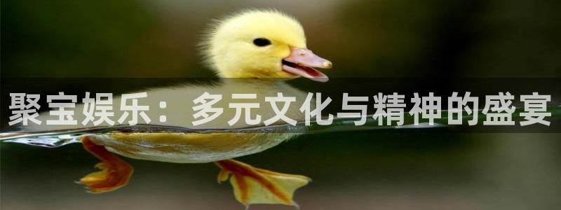 壹号大舞台有梦你就来：聚宝娱乐：多元文化与精神的盛宴