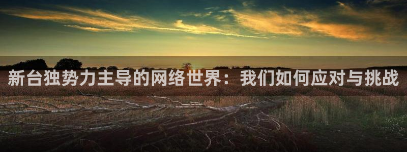 壹号电子娱乐app下载官网：新台独势力主导的网络世界：我们如何应对与挑战